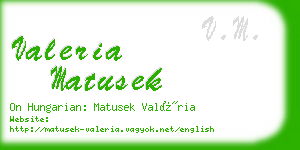 valeria matusek business card